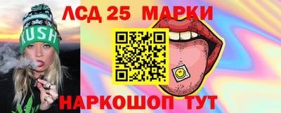 mdpv Камышлов